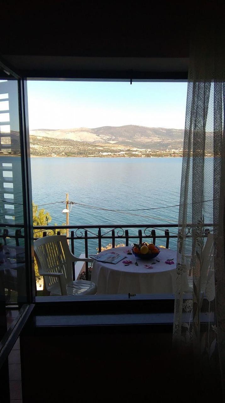 Apartments Vini Trogir Bagian luar foto